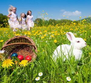 shutterstock_44182483m