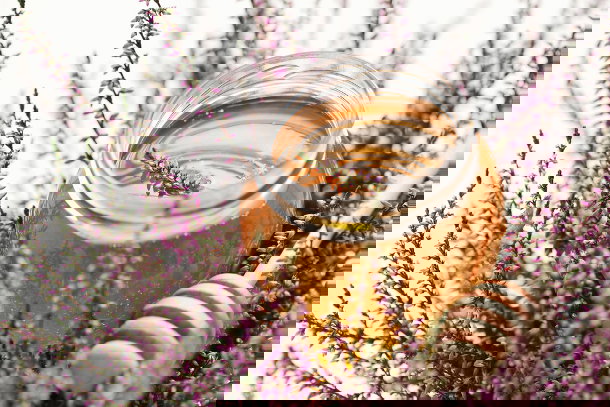 shutterstock_102852698