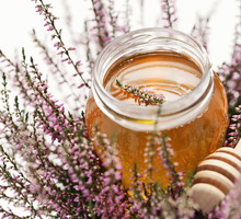 shutterstock_102852698