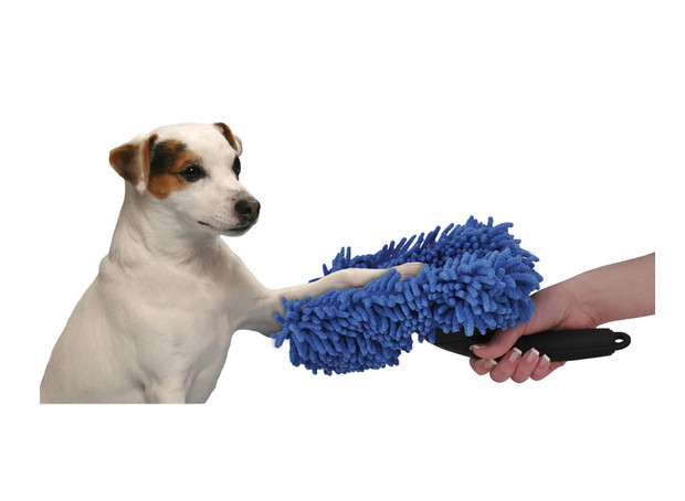 Czyste łapki, wyczesane futerko