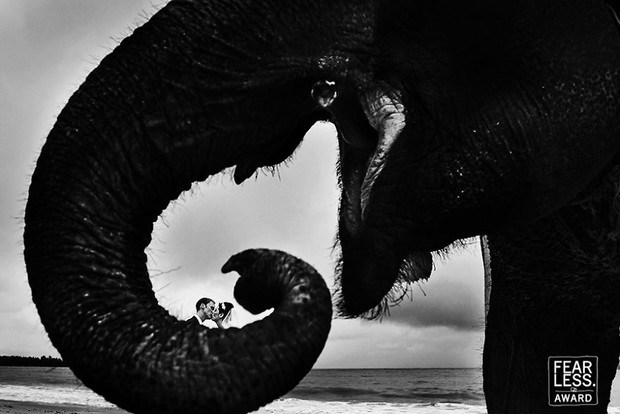 Zdjęcia ślubne Fearless Awards