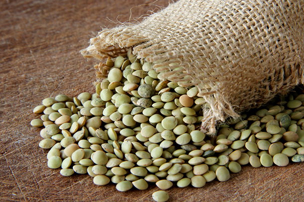 shutterstock_72759397