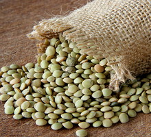 shutterstock_72759397