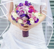 shutterstock_109531721