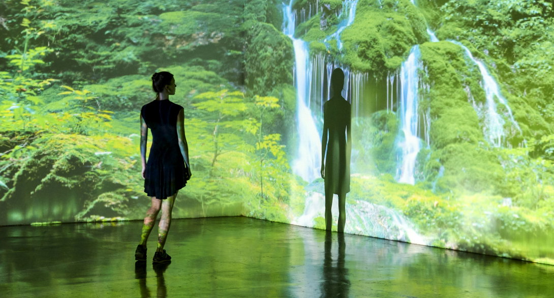 Girl looking at a large scale nature image projected on to a wall