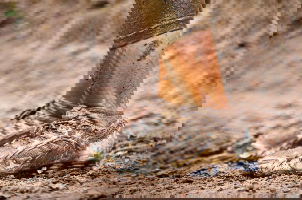 shutterstock_113781937