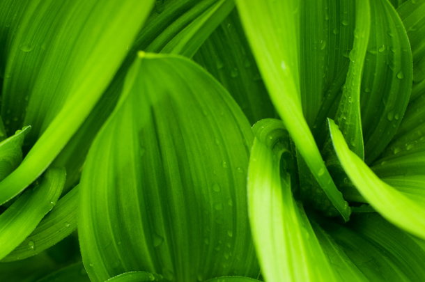 shutterstock_113758207