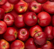 shutterstock_114277303n