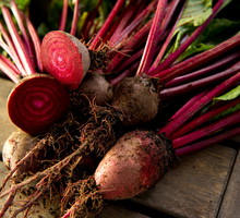 shutterstock_95502550s