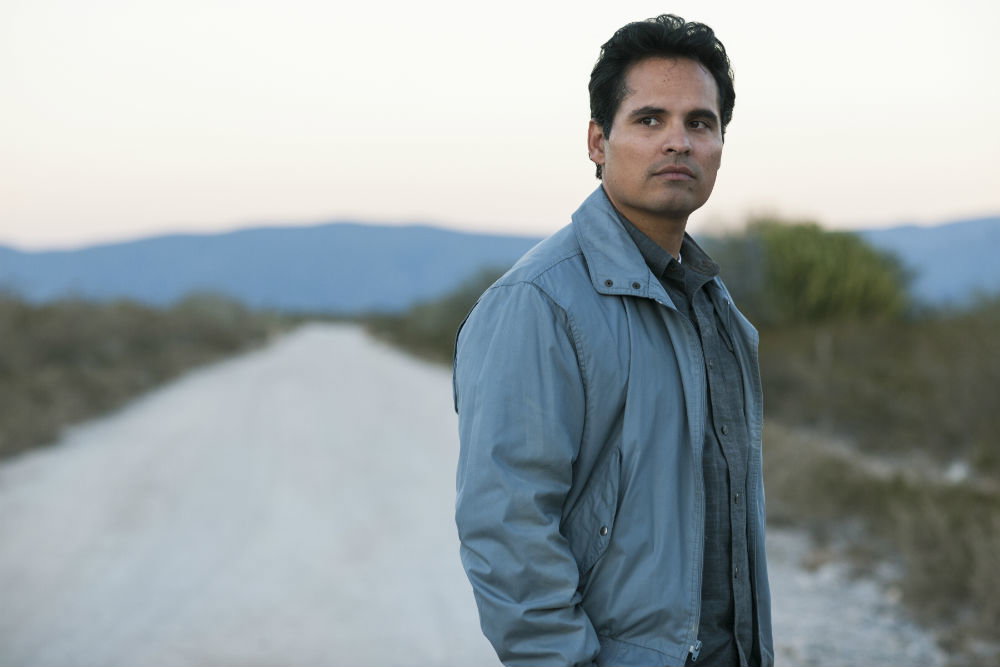 Michael Peña jako Kiki Camarena