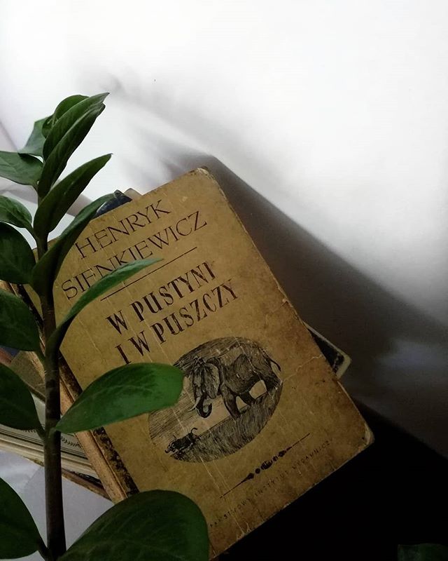 f8f32f6a004840a9e285104fa33662d23e1a609d-a5b556d