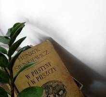 f8f32f6a004840a9e285104fa33662d23e1a609d-a5b556d