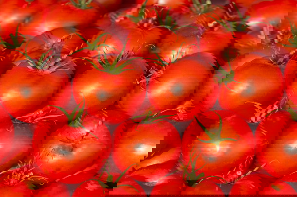 shutterstock_114971920s