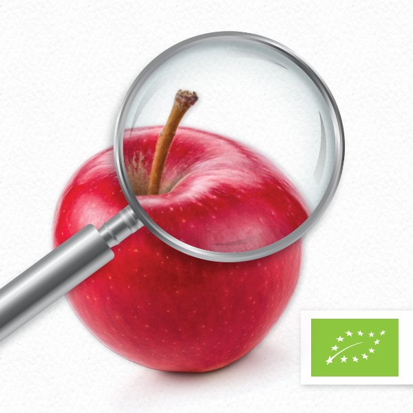 Soki Cymes z Pojezierza Wałeckiego