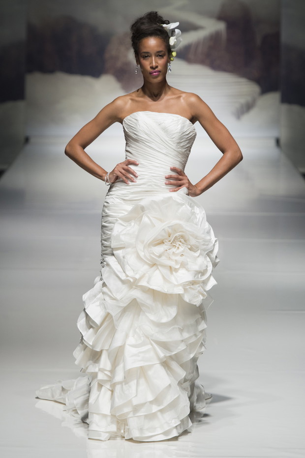 Ian_Stuart_brd_S15_111