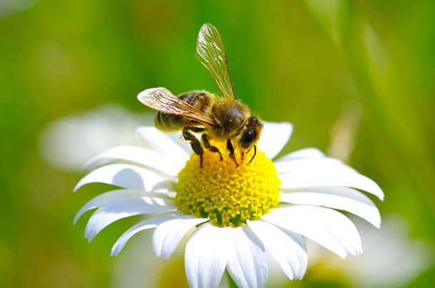 shutterstock_139013711s