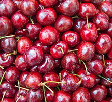 shutterstock_183712835