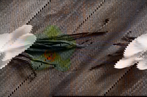 shutterstock_119240485