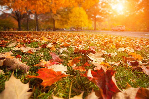 shutterstock_151748876s