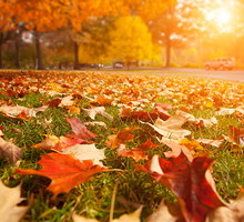 shutterstock_151748876s