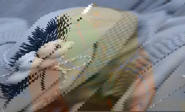 eb713d3e3f17d72e4e732656030916b45dd29354