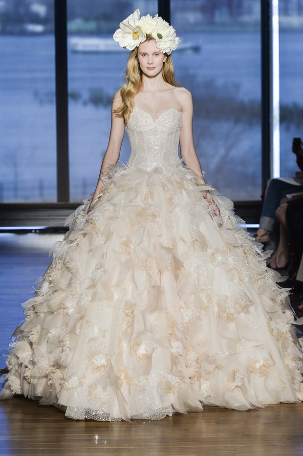 Di_Santo_brd_S15_074