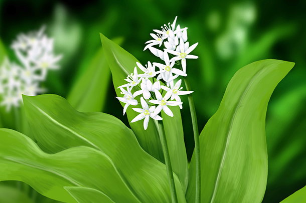 shutterstock_188766572s