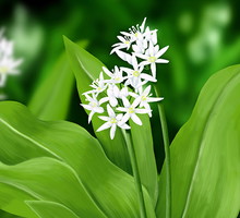 shutterstock_188766572s