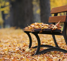 shutterstock_158276474