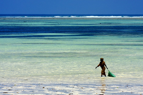 zanzibar