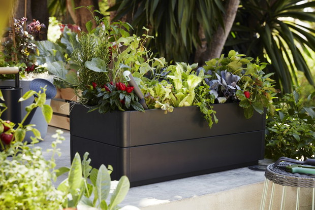 Letnia kolekcja IKEA SOMMAR 2017