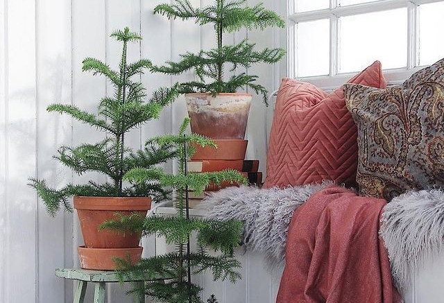 916625a1867404a98b0035565d757c41857a53ee