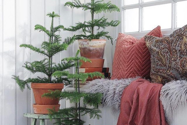 916625a1867404a98b0035565d757c41857a53ee