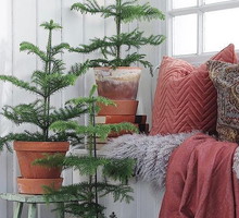 916625a1867404a98b0035565d757c41857a53ee