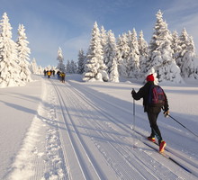 shutterstock_95551669