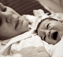 shutterstock_204614026