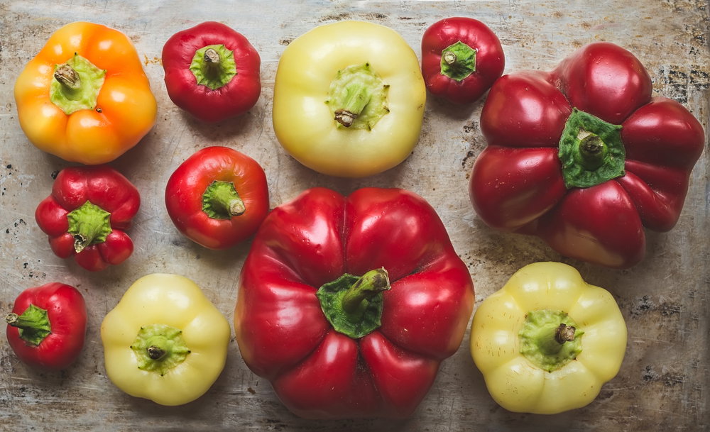 shutterstock_228967495