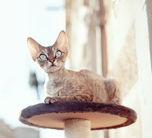 shutterstock_124148170