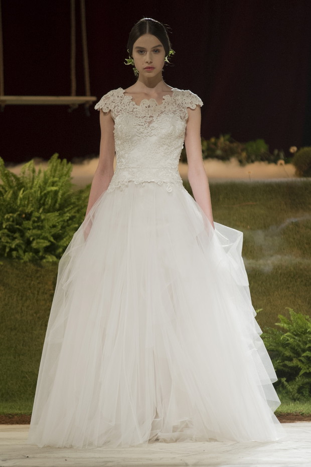 David_Fielden_brd_S15_138