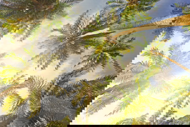 shutterstock_197580035