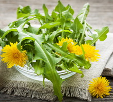 shutterstock_175319606