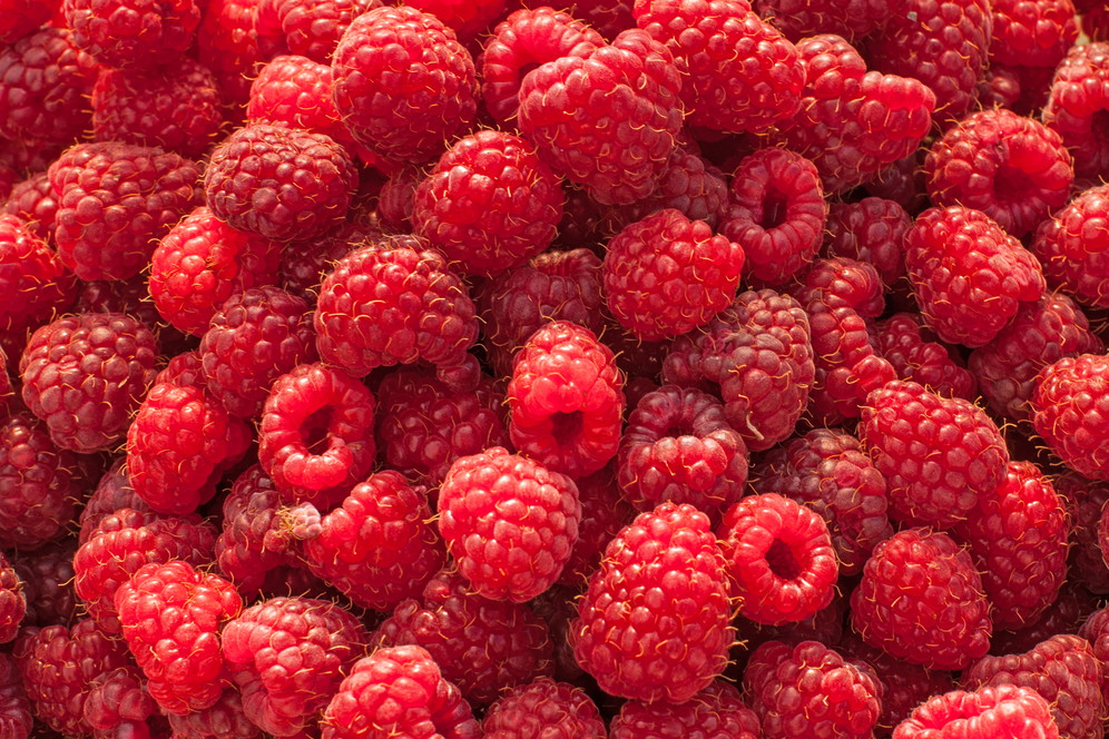 shutterstock_153347819