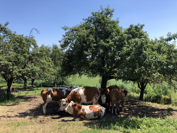 Ten produkt jesz codziennie. Nie uwierzysz, jak powstaje!