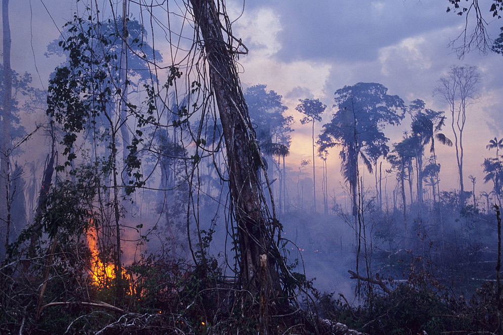 Amazonia