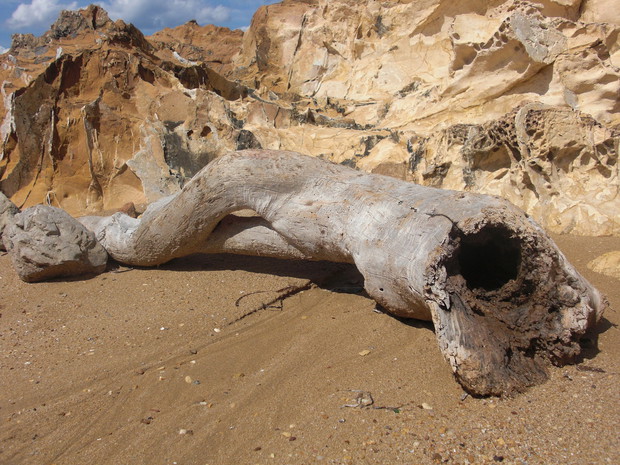 nature-land-art-740157_1920