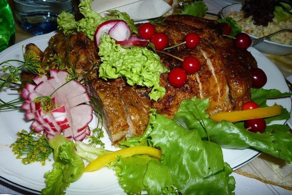 Kura Gorgonia w mleku