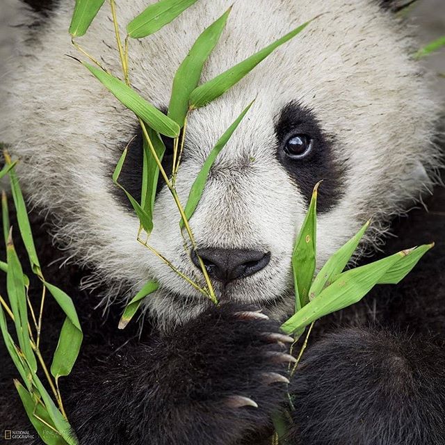 a5d1c32e4590edff6604036e0ccd19eacb88b20c-caaefdc