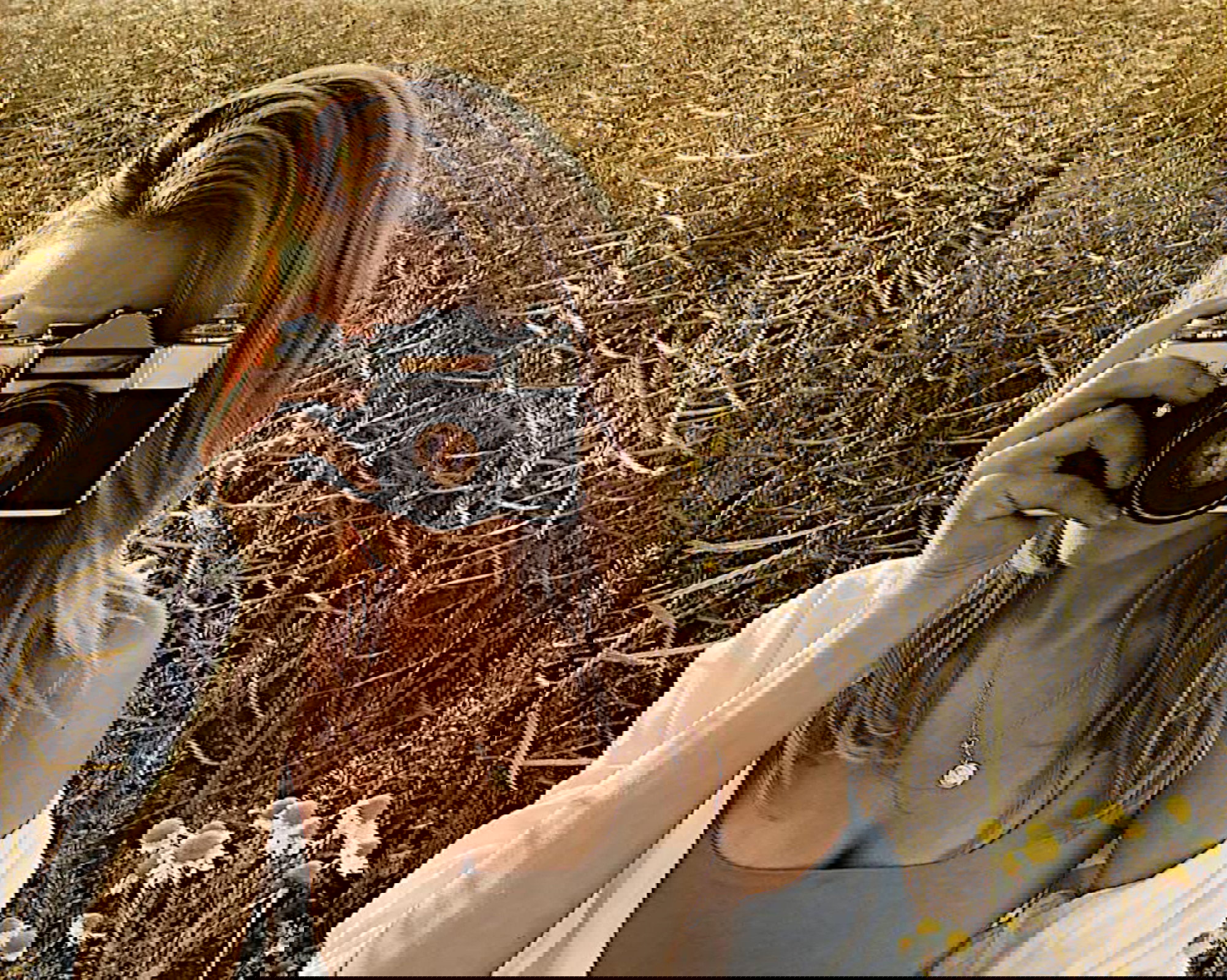 42e185003147058646b35f2f98697b5a761e9c0e-b5acafc