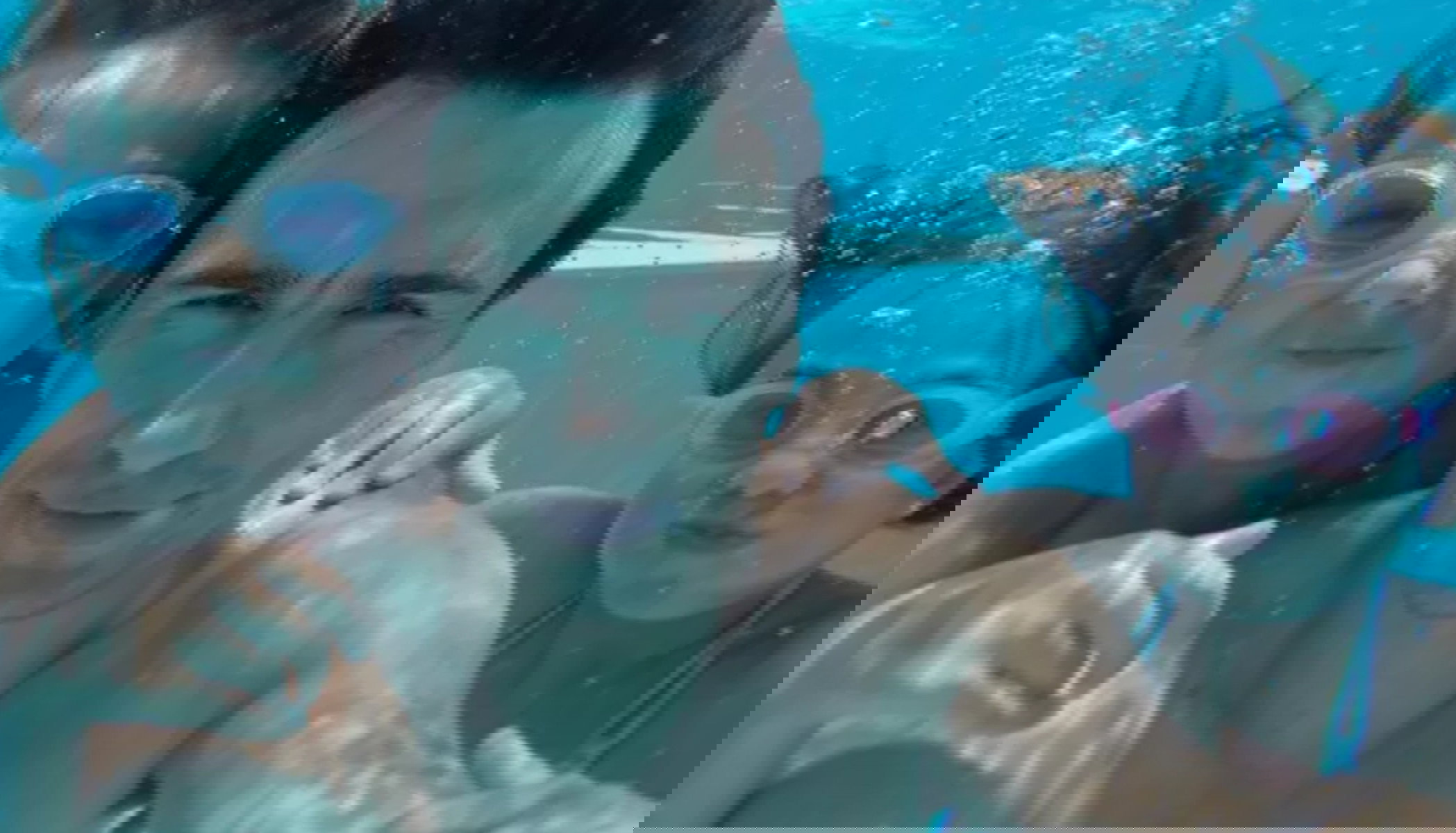 f15cd52499bf4fc39908baf763a94f5ce27733b8-f318721