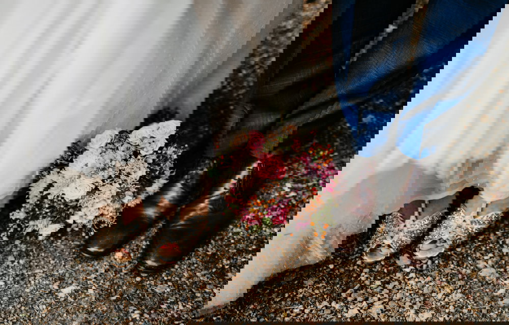 Bride and Groom at a wedding